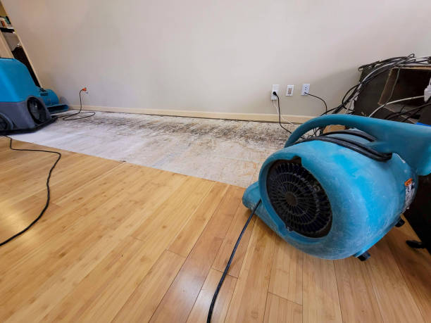 Professional Sewage Cleanup technician working in Galloway, OH